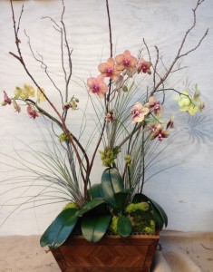 arrangement fall inspiration orchid