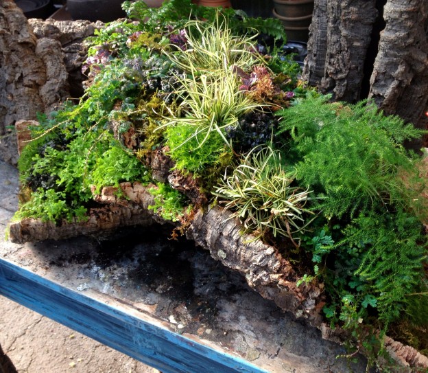 More Cork Bark Planter Inspiration We’re Having Fun! Oak Street