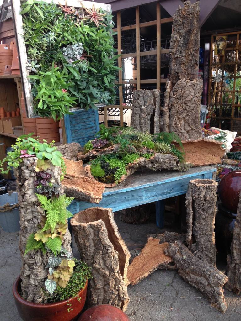 More Cork Bark Planter Inspiration We’re Having Fun! Oak Street