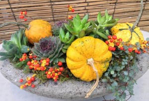 Pumpkin/succulent arrangement
