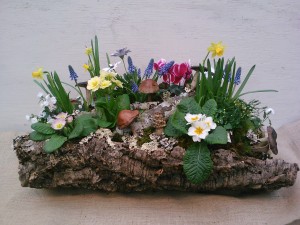 Cork Bark Planter with Spring Bulbs and Lichen Branches