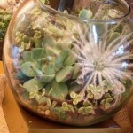 Terrarium for the Lilly Pulitzer Store