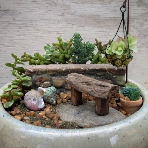A succulent miniature garden...