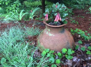 Olive Jar in the Garden...