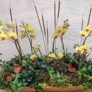 Fall Orchid Arrangement - Customer's Dough Bowl
