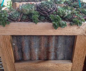 Cedar and Metal Planter with Hen and Chicks