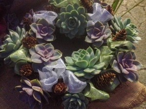 Loops of ribbon and tiny pinecones embellish this echeveria wreath...