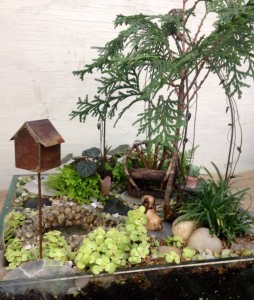 A seating area under a  Chamaecyparis "tree" and a pond, with sedum 'Ogon' as a "groundcover"...
