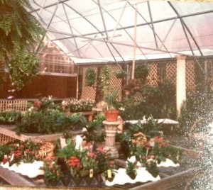 1991...Inside the Greenhouse