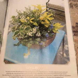 This brown bowl I designed was actually featured in another post on our website titled 'A Brown Bowl, 2 Ways'. This is the chartreuse, blue and white version for sun... Photo Courtesy Southern Living Magazine