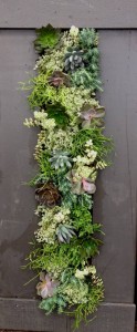 Succulent Vertical Planter