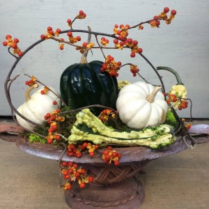 Fall - Gourd and Bittersweet