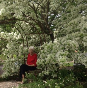 Chinese fringe tree in Weesie Smith's garden