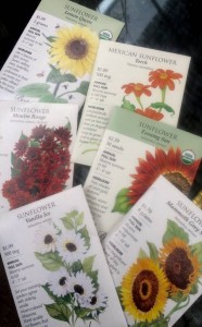 Spring Seeds - Botanical Interests