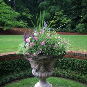 Urn Planted for Summer