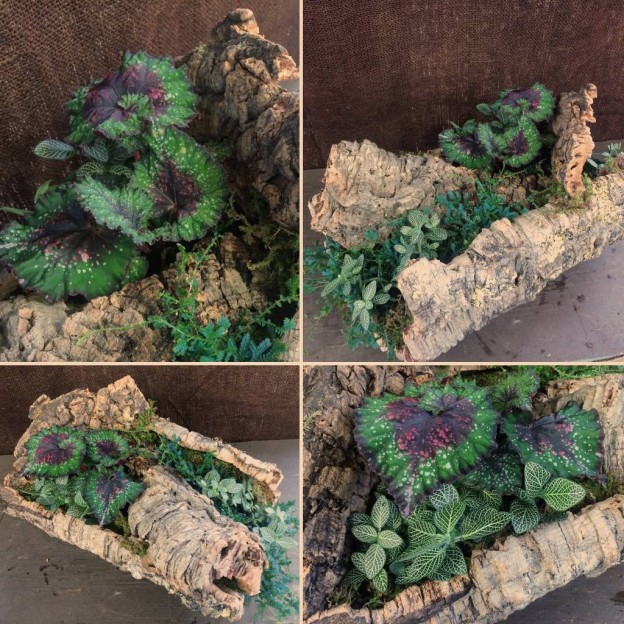 Cork Bark Planters for Shady Summer Spots Oak Street Garden Shop and