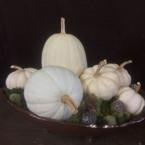 White Pumpkin Arrangement