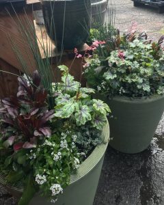 Container Gardens - Green Pots